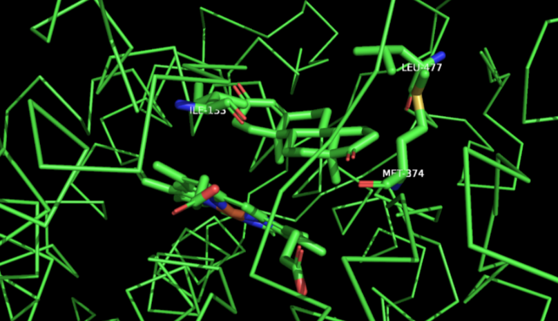 3EQM Active Site