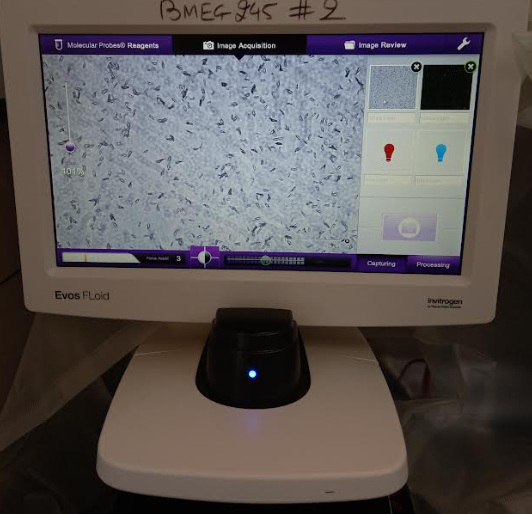 White Light Microscopy