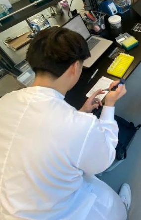 Protein Assay Demo