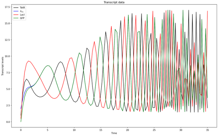 Gene Circuit Repressilator