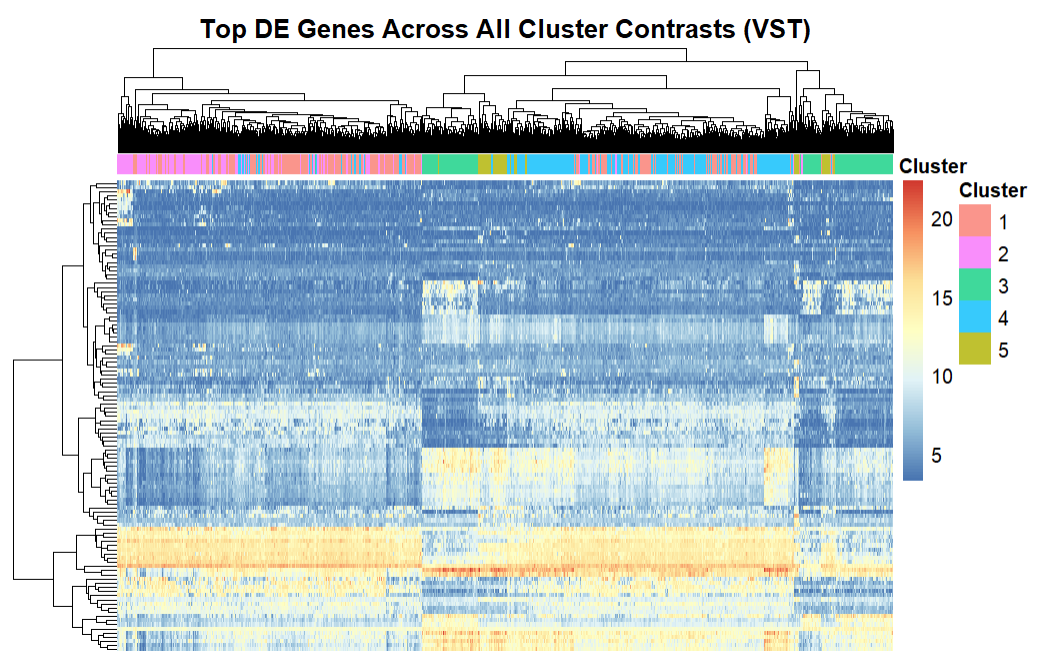 Heatmap Comparing Differential Expression Genes